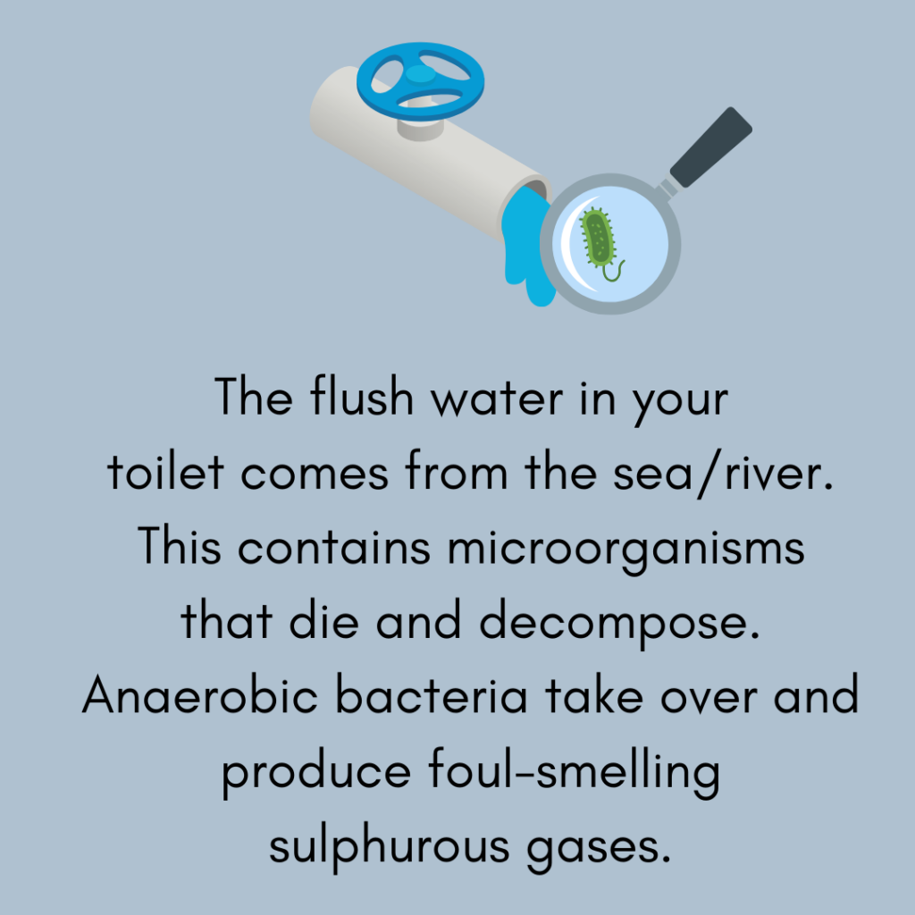 flush water with bacteria